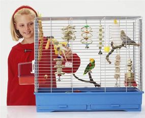 img 1 attached to 🐦 BWOGUE 7 Packs Bird Parrot Toys: Natural Wood Chewing Toy for Small Parakeets, Cockatiels, Conures, Finches, Budgies, Parrots, Love Birds - Hanging Swing Hammock, Climbing Ladders, & Cage Toys