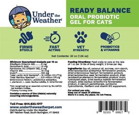 img 3 attached to Pet Probiotic Gel for Digestive Balance - Under the Weather Pets, Ready Balance, 1.05oz - Supports Upset Digestion, Beneficial Bacteria, Live Probiotics, & Vitamins for Cats & Dogs