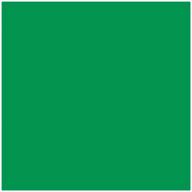 jillson roberts 6-roll count all-occasion matte finish gift wrap in vibrant green and 21 other solid colors logo
