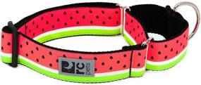 img 2 attached to RC Webbing Martingale Training Watermelon