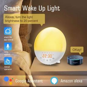 img 3 attached to 🌅 VAZILLIO Sunrise Alarm Clock with Alexa, Sunset Simulation, Sleep Aid, Dual Alarms, Snooze, 7 Colors Nightlight, 8 Natural Sounds, Recorder, FM Radio - Perfect Gift for Kids & Adults