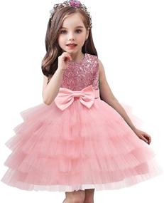 img 3 attached to 🌈 Exquisite Rainbow Sleeveless Holiday Princess Girls' Clothing - AGQT Collection