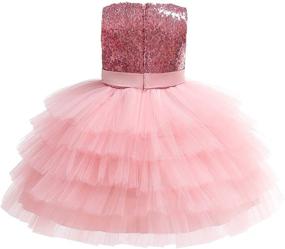 img 2 attached to 🌈 Exquisite Rainbow Sleeveless Holiday Princess Girls' Clothing - AGQT Collection