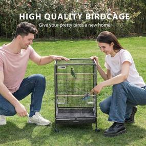 img 3 attached to 🐦 VIVOHOME 30" Wrought Iron Bird Cage with Rolling Stand - Ideal for Parrots, Conure, Lovebird, and Cockatiel