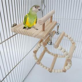 img 3 attached to 🐦 Bird Perch Cage Toys, Small Animals Wooden Hanging Nest Toy, Parrot Play Gym Stand with Acrylic Wood Swing, Rattan Ball, Ferris Wheel; Pet Training Playstand for Cockatiels, Conures, Hamsters, Rats, Squirrels