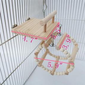 img 2 attached to 🐦 Bird Perch Cage Toys, Small Animals Wooden Hanging Nest Toy, Parrot Play Gym Stand with Acrylic Wood Swing, Rattan Ball, Ferris Wheel; Pet Training Playstand for Cockatiels, Conures, Hamsters, Rats, Squirrels