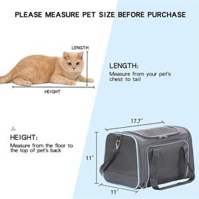 img 2 attached to 🐾 Expandable Soft-Sided Pet Travel Carrier for Cats, Dogs - Airline Approved with A4Pet, Ideal for Kittens, Puppies, Rabbits, and Hamsters - Washable and Portable