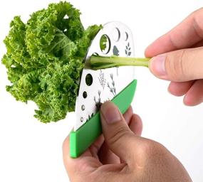 img 2 attached to 🌿 9-Hole Stainless Steel Herb Stripper Graters - Kitchen Gadgets Peeler Tool with 2in1 Curved Edge Kitchen Knife Cutter for Kale, Chard, Collard Greens, Parsley, Basil, Rosemary, Thyme