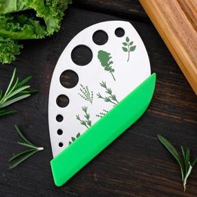 img 1 attached to 🌿 9-Hole Stainless Steel Herb Stripper Graters - Kitchen Gadgets Peeler Tool with 2in1 Curved Edge Kitchen Knife Cutter for Kale, Chard, Collard Greens, Parsley, Basil, Rosemary, Thyme