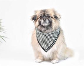 img 1 attached to 🐾 Lily Anne Boutique: Top-Quality Designer Dog Bandanas for Stylish Boy and Girl Dogs - Shop Now for 1 Premium Dog Bandana in Small or Large Size!