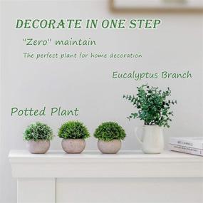 img 2 attached to Lavora Zone Mini Artificial Plants: A 3+1 Piece Set of Small Fake Plants for Stunning Bathroom and Home Decor