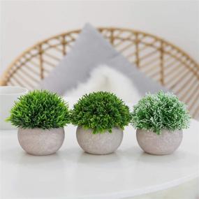 img 1 attached to Lavora Zone Mini Artificial Plants: A 3+1 Piece Set of Small Fake Plants for Stunning Bathroom and Home Decor