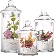 stunning diamond star glass apothecary jars - perfect bathroom storage organizer set for qtips, cotton swabs, balls, bath salts logo