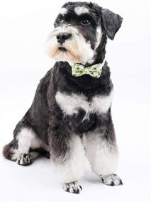 img 1 attached to Gyapet Dog Bowtie Collar: Stylish Breakaway Puppy 🐶 Collar for Adjustable and Adorable Small to Large Pets