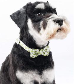 img 2 attached to Gyapet Dog Bowtie Collar: Stylish Breakaway Puppy 🐶 Collar for Adjustable and Adorable Small to Large Pets