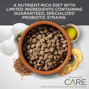 img 2 attached to Diamond CARE Adult Dry Dog Food: Optimal Support for 💎 Weight Management, Skin, Stomach & Overall Health with Protein, Probiotics & Antioxidants