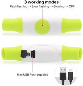 img 1 attached to 🐶 BSEEN LED Dog Collar Light: USB Rechargeable & Cuttable Glowing Necklace for Small, Medium, and Large Dogs