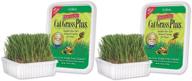 🌿 miracle care – catabout easy to grow cat grass plus container, large size – 150g (2 pack) logo