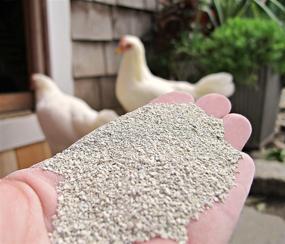 img 2 attached to 🐔 The Chicken Chick Sweet Coop: Premium 5lb Bag for Happy Hens!