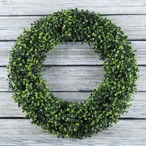 img 4 attached to 🌿 Artificial Boxwood Wreath - Pure Garden 50-150, 19.5-Inch Front Door Home Decor, Green, 19.5 Inches