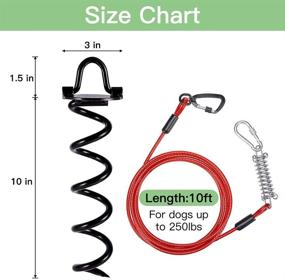 img 3 attached to 🐾 SCENEREAL Dog Tie Out Cable and Stake: Heavy Duty Rustproof Dog Anchor for Yard - 250lbs, 10ft Chew Proof Dog Leash with Shock Absorption Spring, Ideal for Beach, Camping & Ground Use