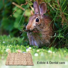 img 1 attached to 🐇 PAWCHIE 2 Pack Grass Mat - Natural Hay Woven Bed Mat for Rabbits, Small Animals, Hamsters, Guinea Pigs - Chew Toys Included