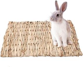 img 4 attached to 🐇 PAWCHIE 2 Pack Grass Mat - Natural Hay Woven Bed Mat for Rabbits, Small Animals, Hamsters, Guinea Pigs - Chew Toys Included