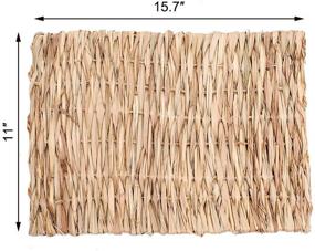 img 3 attached to 🐇 PAWCHIE 2 Pack Grass Mat - Natural Hay Woven Bed Mat for Rabbits, Small Animals, Hamsters, Guinea Pigs - Chew Toys Included