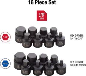 img 3 attached to 🛠️ Sunex 3646, Low Profile 3/8 Inch Drive Impact Hex Driver Set, 16-Piece, SAE/Metric, 1/4 Inch - 3/4 Inch, 6mm - 19mm, Cr-Mo Steel, Dual Size Markings, Heavy Duty Storage Case, Meets ANSI Standards, High SEO