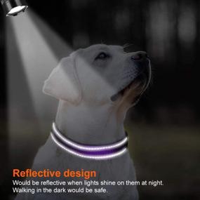 img 2 attached to Joytale Personalized Engraved Reflective Collars