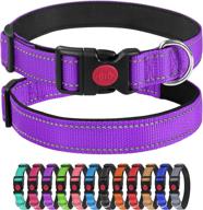 joytale personalized engraved reflective collars logo