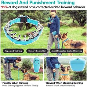 img 2 attached to 🐶 Set of 3 Dog Training Tools - Prong Collar, Choke Collar, Pinch Collar | Adjustable up to 25.5in | No-Pull Dog Collar - PETAOWU