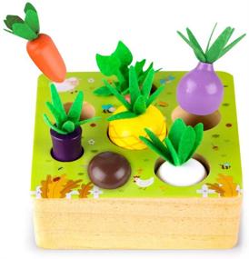 img 4 attached to 🍎 Wooden Farm Harvest Game Montessori Toy for Boys and Girls 1-3 Years Old - Early Learning Shape Sorting Educational Toy with 7 Sizes Vegetable or Fruit - Ideal Gift for Toddlers 1-3