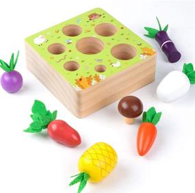 img 2 attached to 🍎 Wooden Farm Harvest Game Montessori Toy for Boys and Girls 1-3 Years Old - Early Learning Shape Sorting Educational Toy with 7 Sizes Vegetable or Fruit - Ideal Gift for Toddlers 1-3
