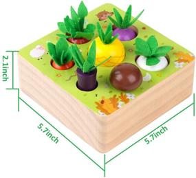 img 3 attached to 🍎 Wooden Farm Harvest Game Montessori Toy for Boys and Girls 1-3 Years Old - Early Learning Shape Sorting Educational Toy with 7 Sizes Vegetable or Fruit - Ideal Gift for Toddlers 1-3