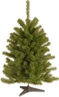 🌲 3ft eastern spruce tree by national tree (es-30-1) логотип