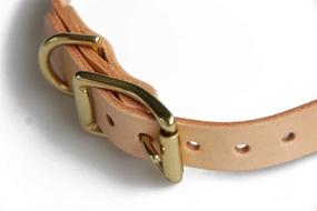 img 2 attached to 🐶 Premium Jeereal Leather Dog Collar: Stylish Solid Brass Hardware for Small, Medium Dogs & Cats