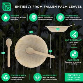 img 2 attached to 🌿 Pack of 50 6-inch Disposable Round Palm Leaf Bowls + 50 Cutlery (includes 50 Spoons) - Superior to Bamboo or Wood Bowls. Durable, 100% Compostable & Biodegradable Eco-Friendly Party Bowls