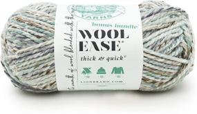 img 3 attached to 🧶 Lion Brand Yarn Wool-Ease Thick & Quick Bonus Bundle Yarn - Seaglass, Single Skein