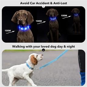 img 1 attached to 🐶 Waterproof LED Dog Collar Rechargeable - PZRLit Light Up, Glow in The Dark Dog Collars for Small, Medium & Large Dogs - Safety Dog Light for Night Walking