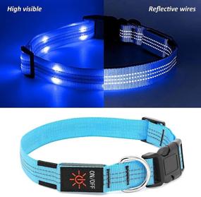 img 3 attached to 🐶 Waterproof LED Dog Collar Rechargeable - PZRLit Light Up, Glow in The Dark Dog Collars for Small, Medium & Large Dogs - Safety Dog Light for Night Walking