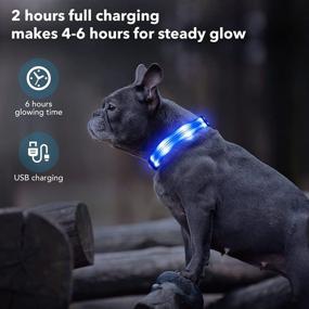 img 2 attached to 🐶 Waterproof LED Dog Collar Rechargeable - PZRLit Light Up, Glow in The Dark Dog Collars for Small, Medium & Large Dogs - Safety Dog Light for Night Walking