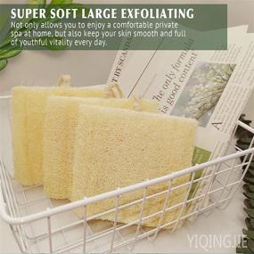 img 1 attached to 🚿 Organic Shower Loofah Sponge, Exfoliating Bath Loofa Body Scrubber, 5.5 Inch Soft and Easy Foaming Spa Lufa Sponges (Pack of 3)