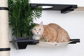 img 2 attached to 🐱 CatastrophiCreations Gardens Set: Multi-Level Wall Mounted Cat Scratch, Hammock Lounge, Play & Climbing Activity Center Furniture with Tree Shelves