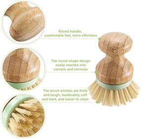 img 2 attached to 🧹 Versatile 4-Piece Bamboo Mini Scrub Brush Set with Coconut Bristles for Cast Iron, Kitchen, Bathroom, and Household Cleaning (Style A)