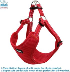 img 2 attached to 🐾 Voyager - Adjustable Step-in Mesh Harness with Reflective 3M Piping by Best Pet Supplies