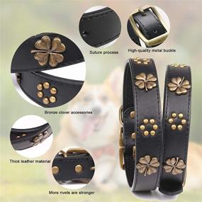 img 1 attached to 🐶 SeaTop Genuine Leather Dog Collar - Soft, Adjustable Collar for Dogs, Premium Quality, Brown - Suitable for Small, Medium, and Large Breeds