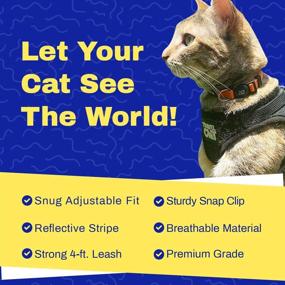 img 2 attached to Travel Cat: Unleash Your Feline Wanderlust with the Reflective Harness and Leash Set!