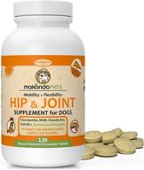 premium hip and joint supplement for dogs: glucosamine, turmeric, chondroitin, msm & boswellia 🐶 - enhancing joint health in large and small dogs - ideal senior dog health supplies logo