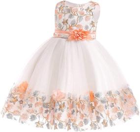 img 2 attached to Stylish 6M-9T Lace Pageant Dress for Toddler Flower Girls: Perfect for Parties, Weddings, and Formal Occasions
